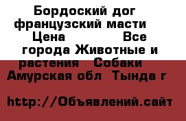 Бордоский дог ( французский масти)  › Цена ­ 50 000 - Все города Животные и растения » Собаки   . Амурская обл.,Тында г.